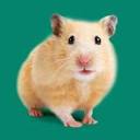 Whiskers Holistic Pet