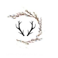 Willowandstag