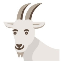WillyGoat Toys and Playgrounds
