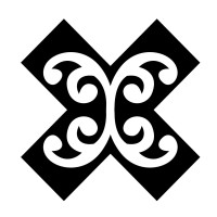 X Zone New Zealand