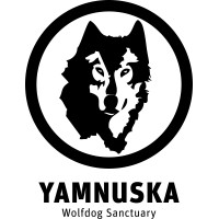 Yamnuska Wolfdog Sanctuary