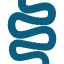 Yourbiology