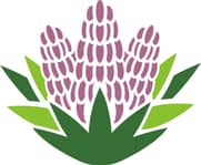 Yucca Health