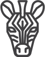ZebraCBD